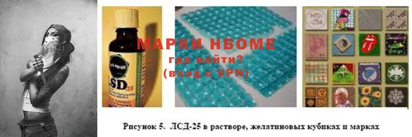 прущие грибы Майский