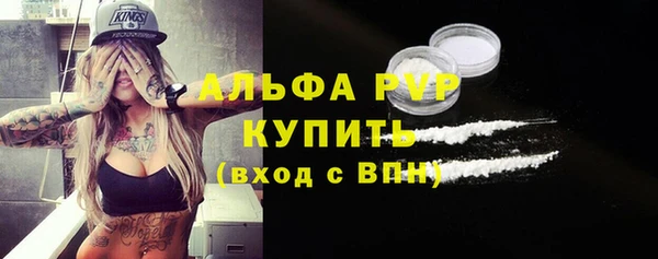 прущие грибы Майский
