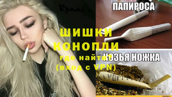 прущие грибы Майский