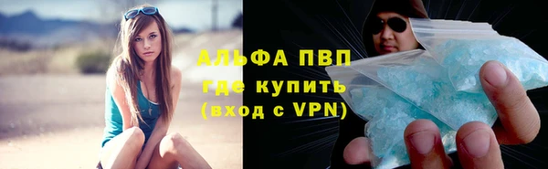 прущие грибы Майский