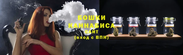прущие грибы Майский