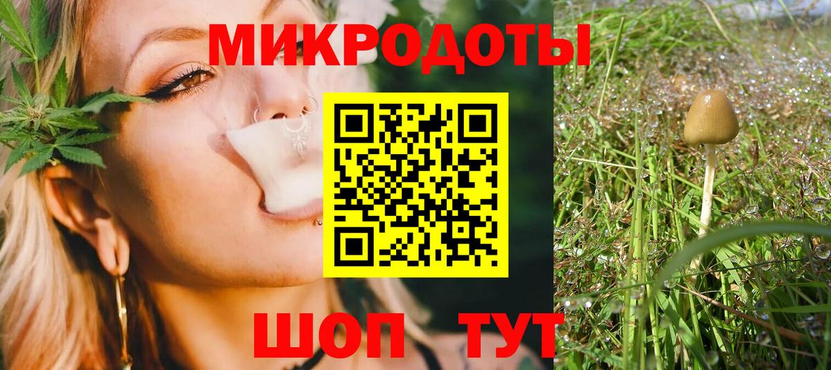 Галлюциногенные грибы Cubensis Лесозаводск