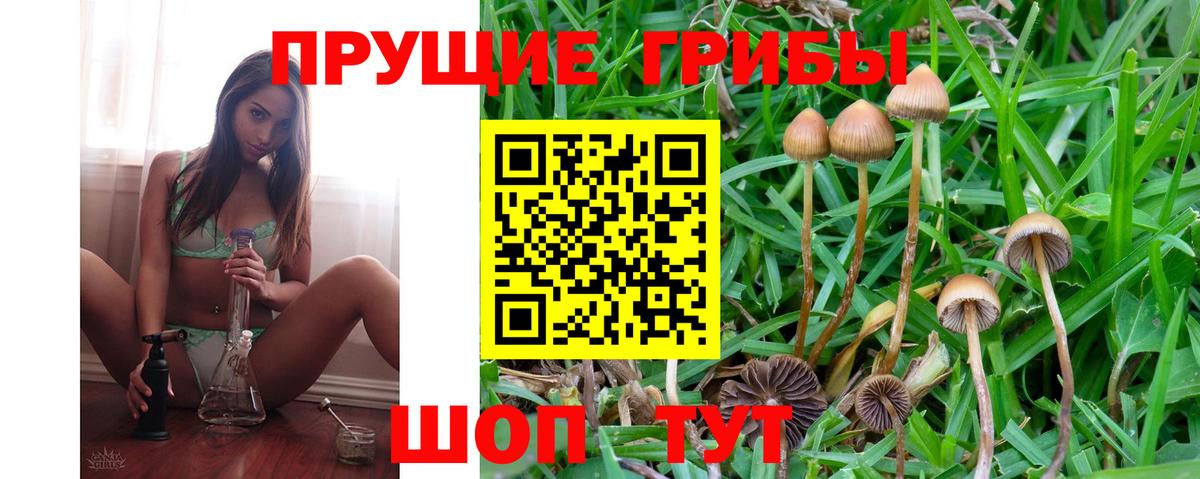 Галлюциногенные грибы Cubensis  Вход с VPN  Галлюциногенные грибы Psilocybe  Лесозаводск 