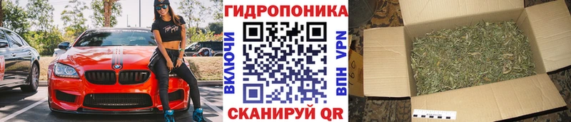 Конопля AK-47  закладка  Лесозаводск 